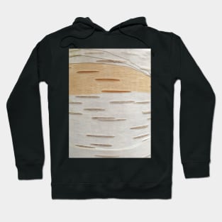 Bark - silver birch Hoodie